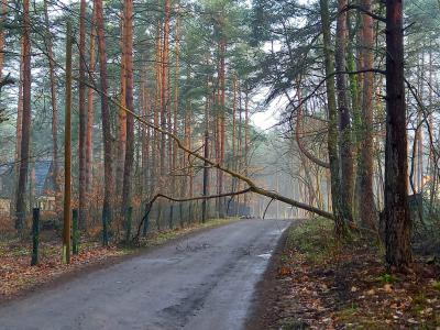 Hilfeleistung (klein) - Fichtenwalde, Bliesendorfer Weg