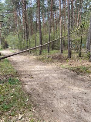 Hilfeleistung Natur - Fichtenwalde, Steglitzer Straße