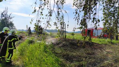 Brand Fläche - B 246, Abzweig Körzin