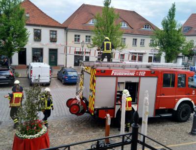 Hilfeleistung Tier in Not - Beelitz, Berliner Straße