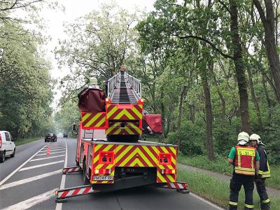 Hilfeleistung Natur - B2, Buchholz Richtung Beelitz (Abfahrt Elsholz)