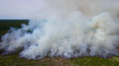 Brand Wald (groß) - Frohnsdorf