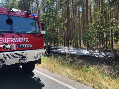 Brand Fläche - Beelitz-Heilstätten, Straße nach Fichtenwalde