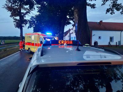 Verkehrsunfall mit Personenschaden - B246 Beelitz - Reesdorf