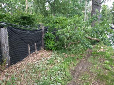 Hilfeleistung Natur - B246 Ortslage Reesdorf