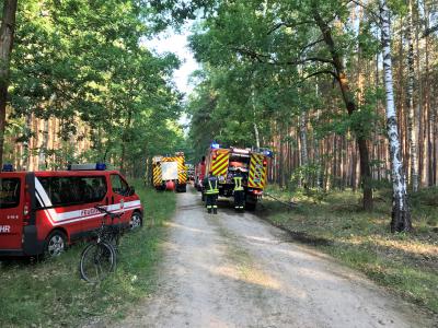 Brand Wald - Beelitz Siebenbrüderweg