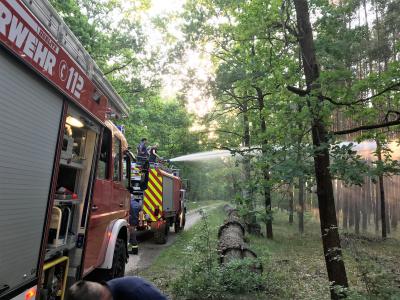 Brand Klein - Beelitz, Siebenbrüderweg