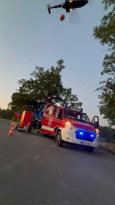 Brand Wald Groß/WSP