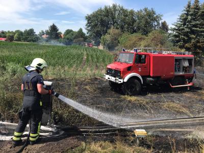 Brand Fläche - Brück, Karl-Friedrich-Str.