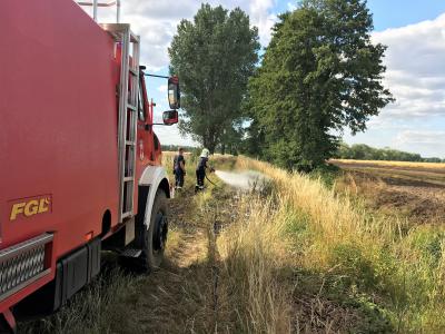 Brand Fläche - Birkhorst, Straße nach Birkhorst