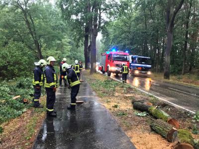 Hilfeleistung Natur - B246, OV Beelitz Richtung Reesdorf