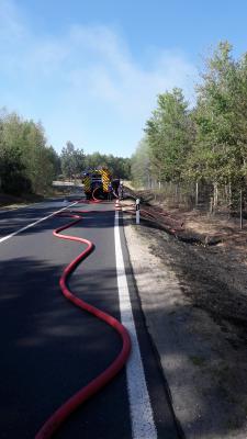 Brand Wald - B 246, AS Beelitz